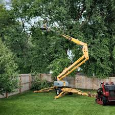 Leaf Removal in Independence, OH